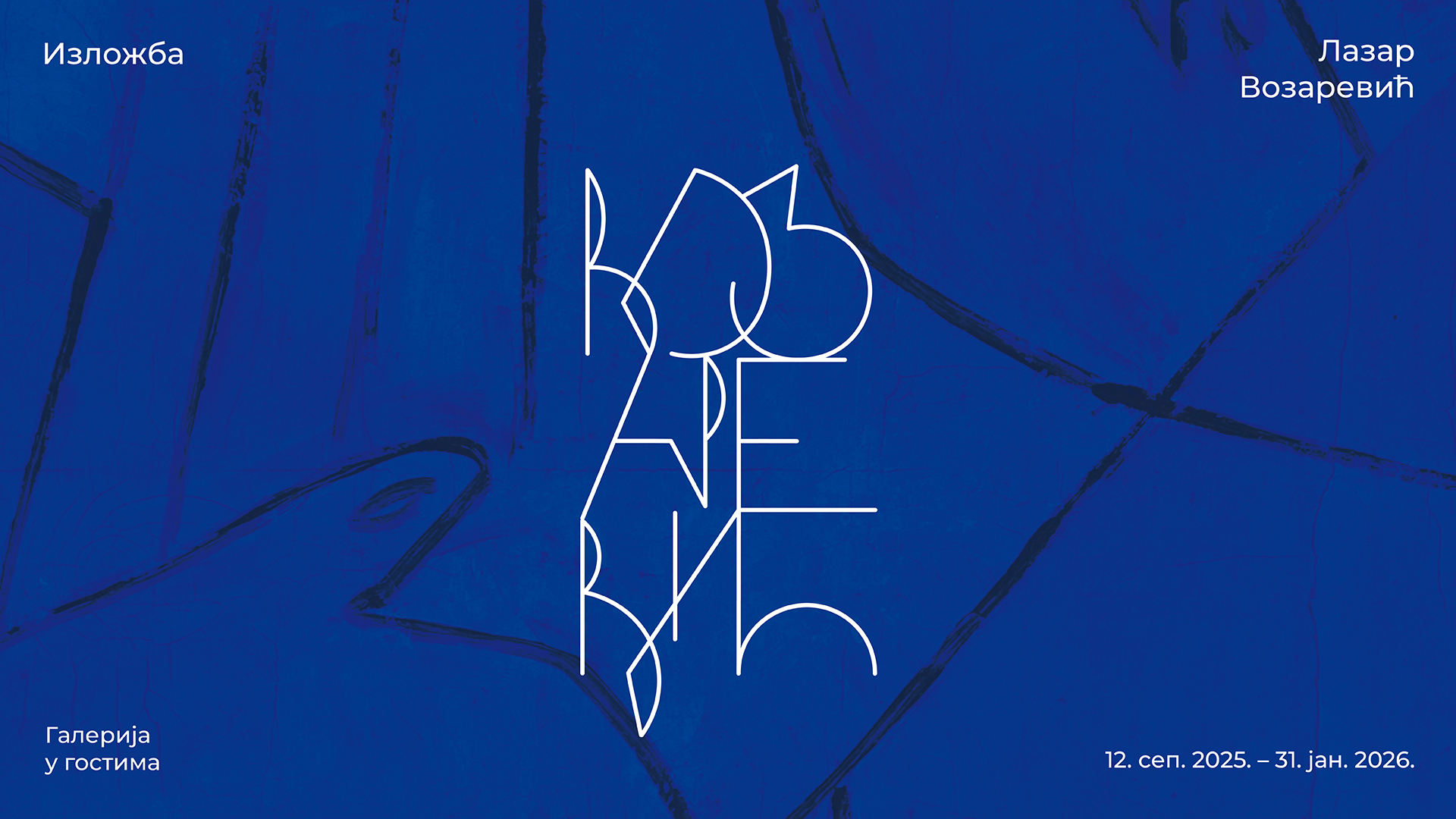 Lazar Vozarević. Galerija u gostima